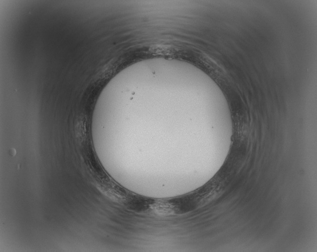 X0000073410603200608181057