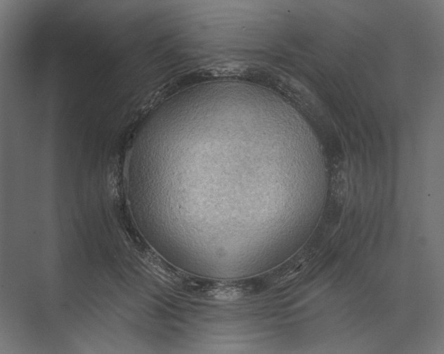 X0000073410604200608181057