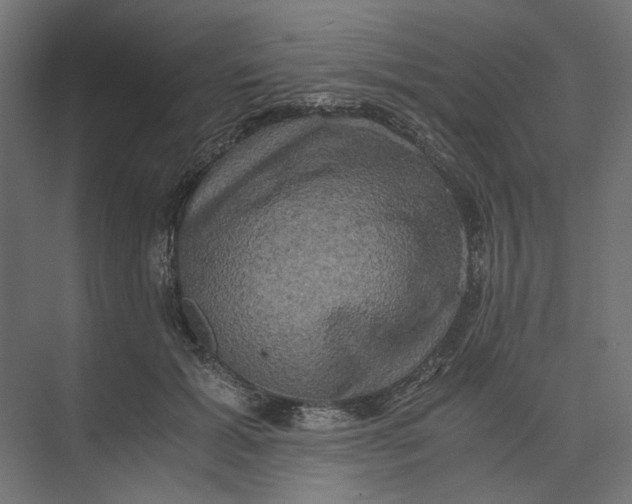 X0000073410605200608181057