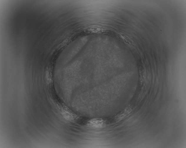 X0000073410606200608181057