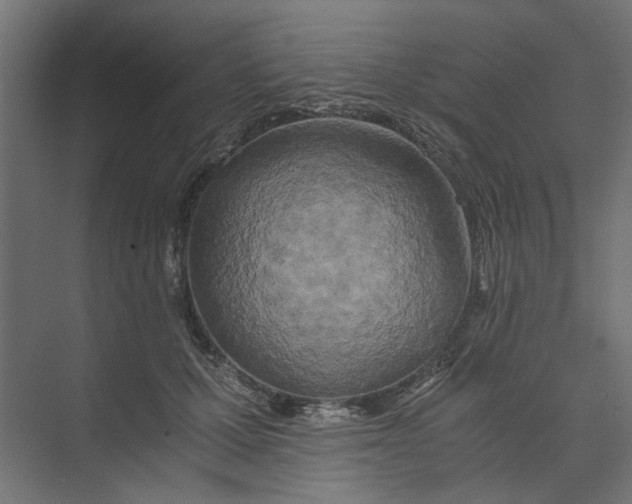 X0000073410607200608181057