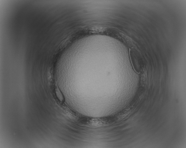 X0000073410608200608181057