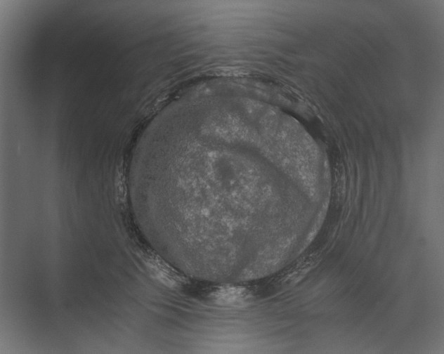 X0000073410609200608181057