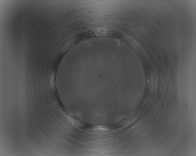 X0000073410610200608181057