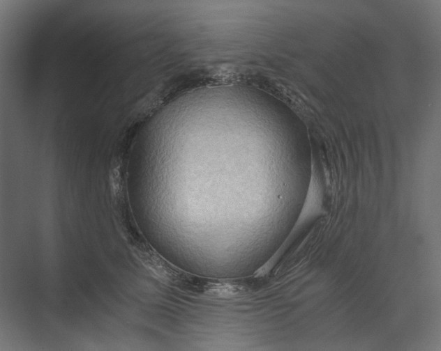 X0000073410611200608181057