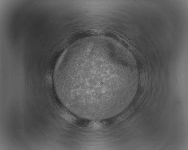 X0000073410613200608181057