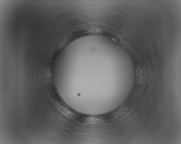 X0000073410614200608181057