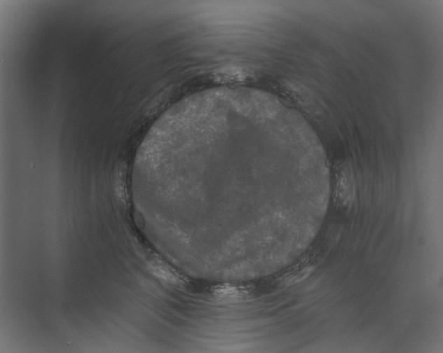 X0000073410616200608181057