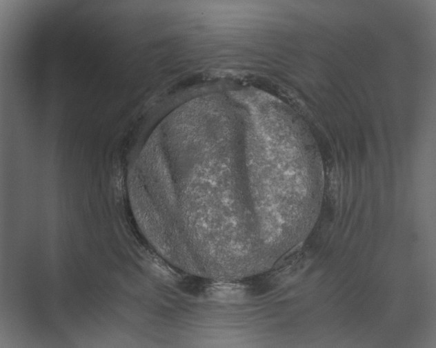 X0000073410617200608181057