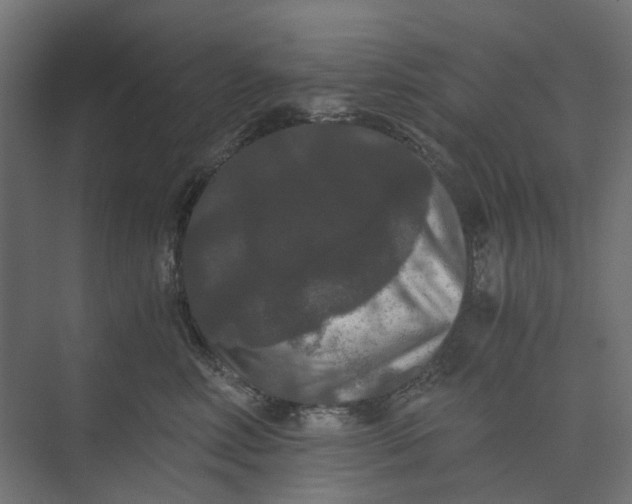 X0000073410618200608181057