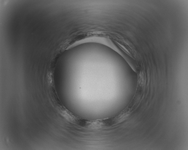 X0000073410621200608181057