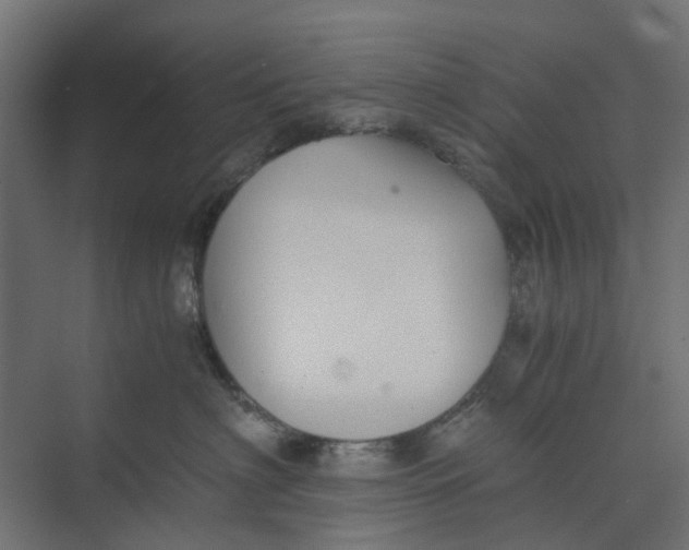 X0000073410622200608181057