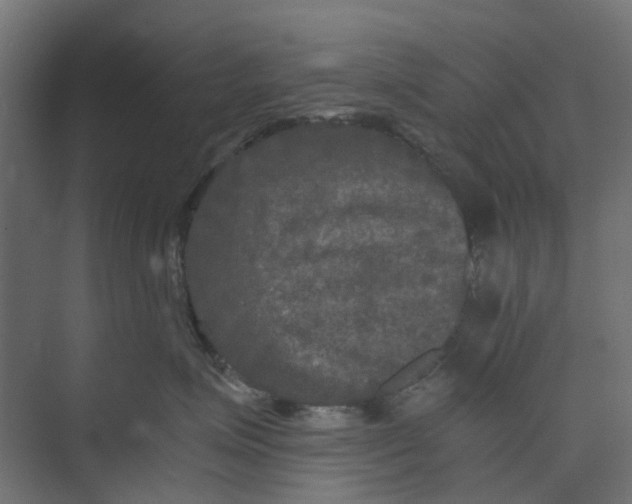 X0000073410623200608181057