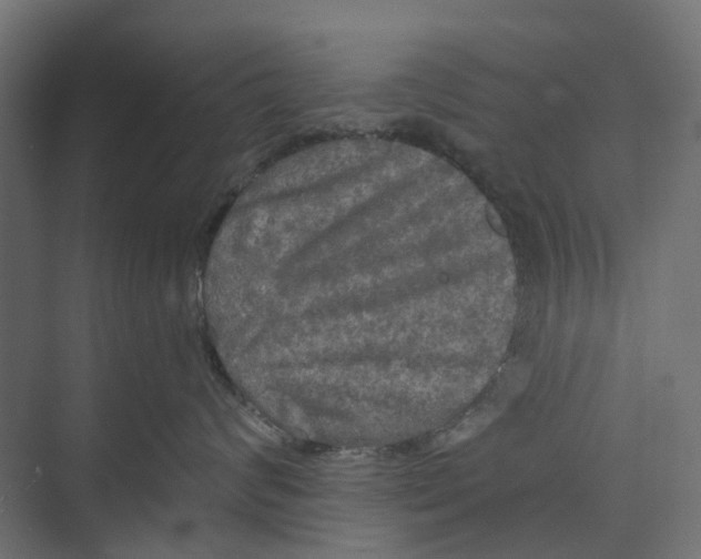 X0000073410624200608181057