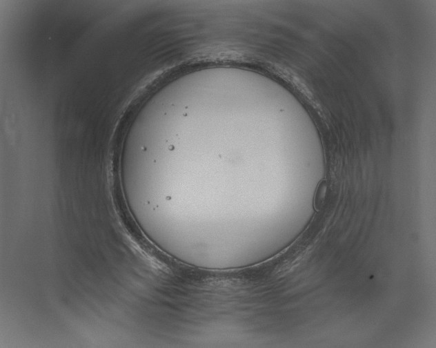 X0000073410629200608181056