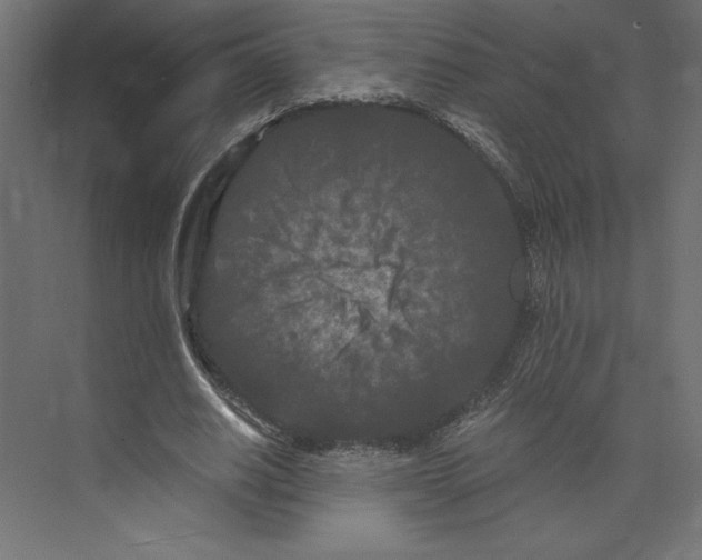 X0000073410630200608181056