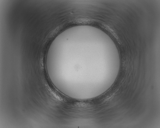 X0000073410633200608181056