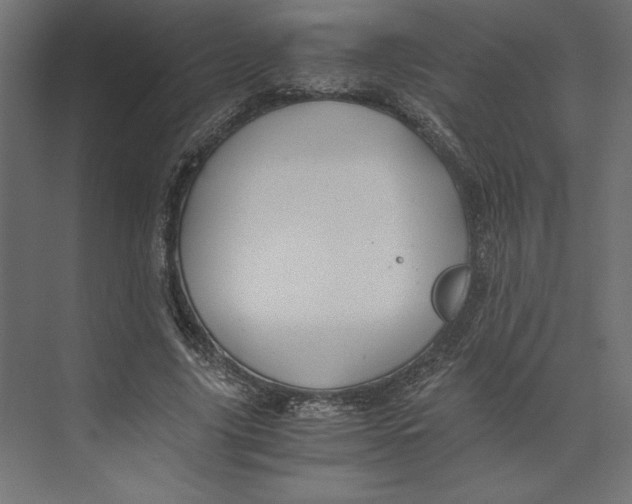 X0000073410635200608181056