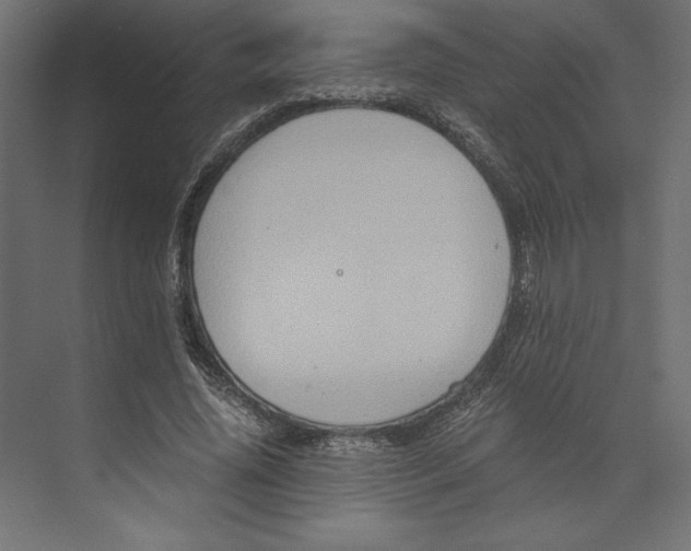 X0000073410636200608181056