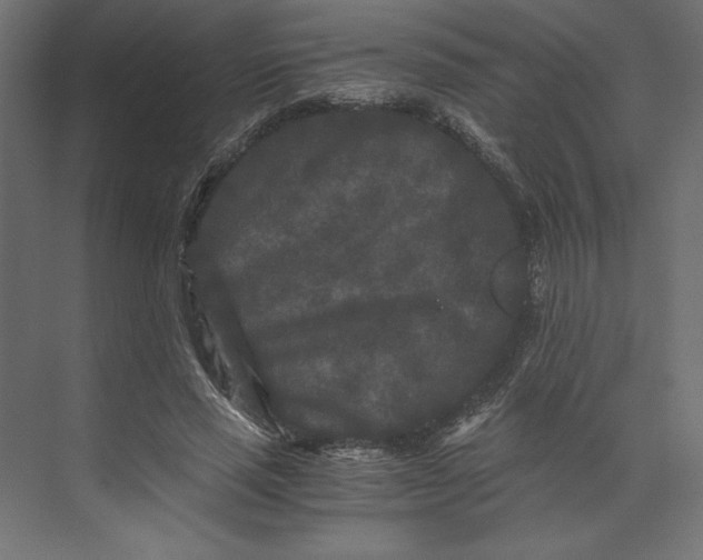 X0000073410637200608181056