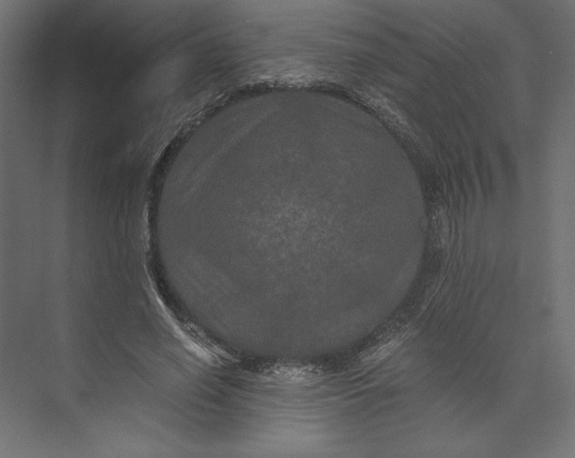 X0000073410638200608181056