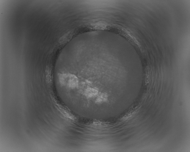 X0000073410641200608181056