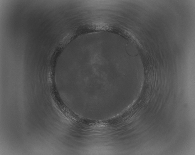 X0000073410643200608181056