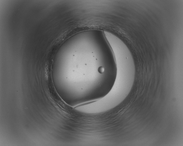 X0000073410644200608181056