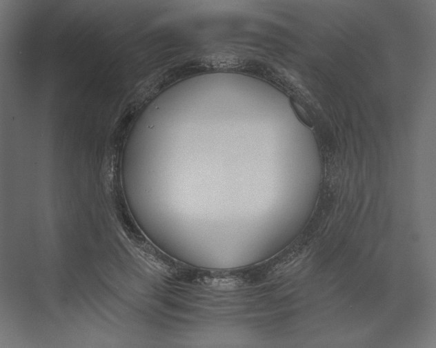 X0000073410645200608181056