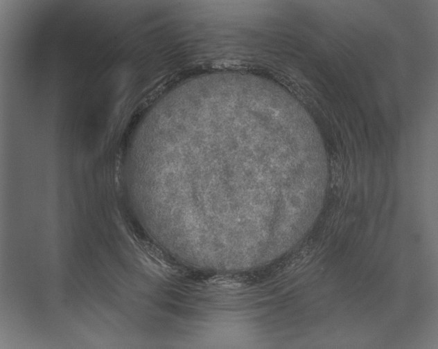 X0000073410648200608181056