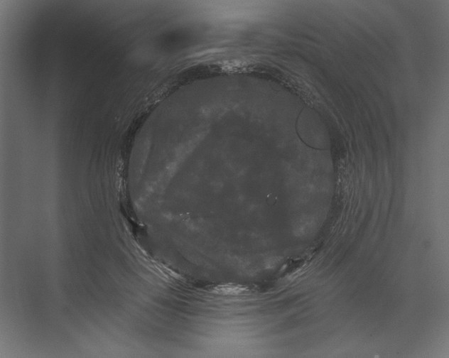 X0000073410650200608181056