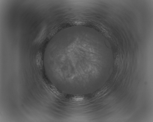 X0000073410651200608181056