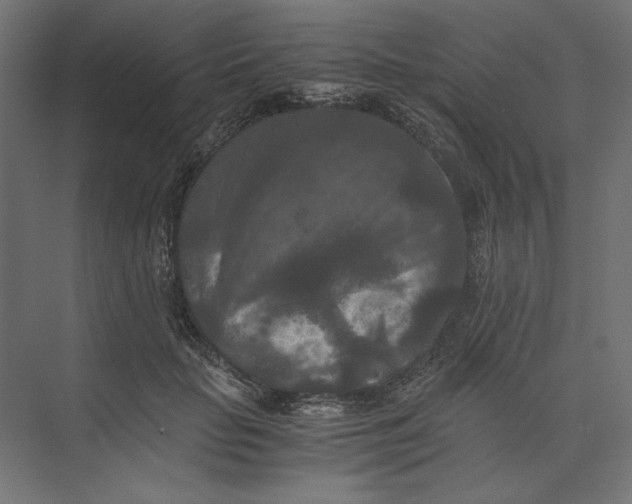 X0000073410653200608181056