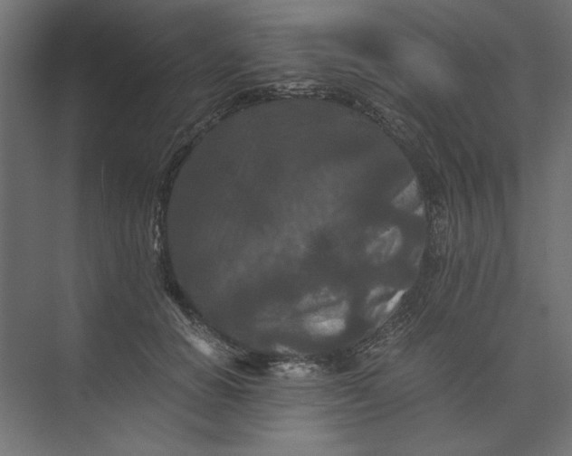 X0000073410654200608181056