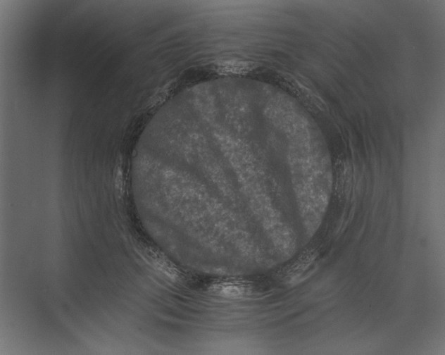 X0000073410655200608181056