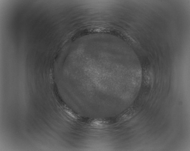 X0000073410657200608181056