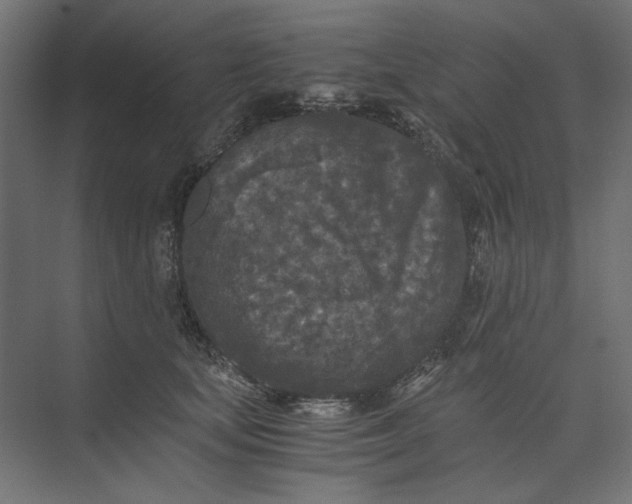 X0000073410659200608181056