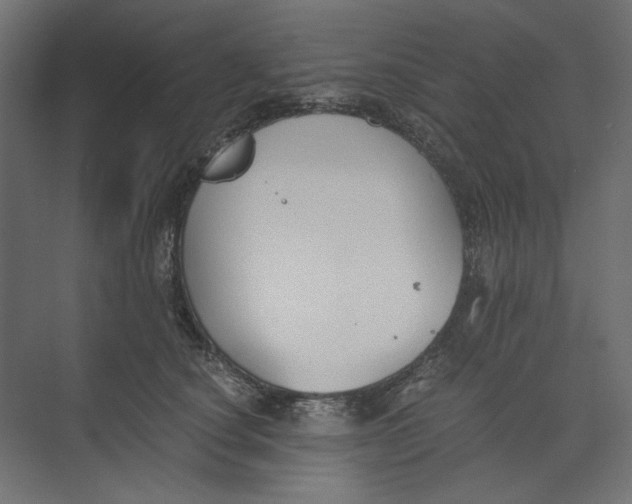 X0000073410660200608181056