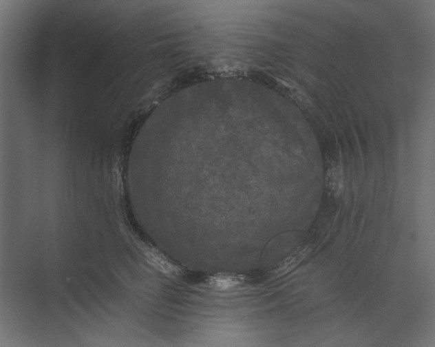 X0000073410662200608181056