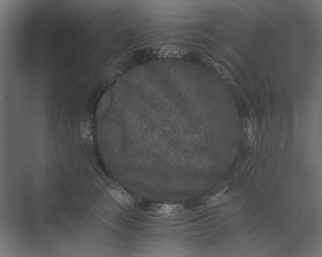 X0000073410663200608181056