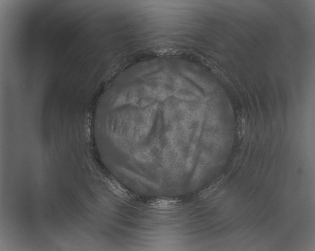 X0000073410664200608181056