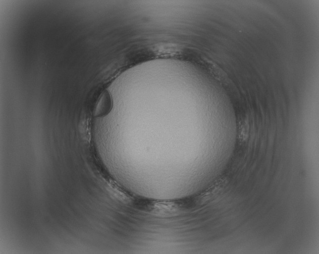 X0000073410666200608181056