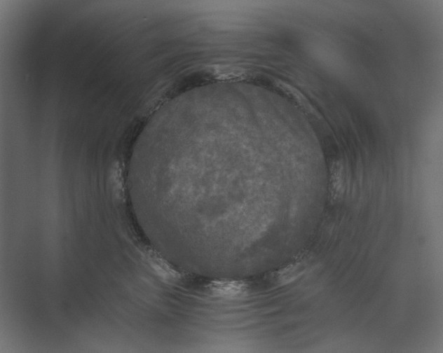 X0000073410667200608181056