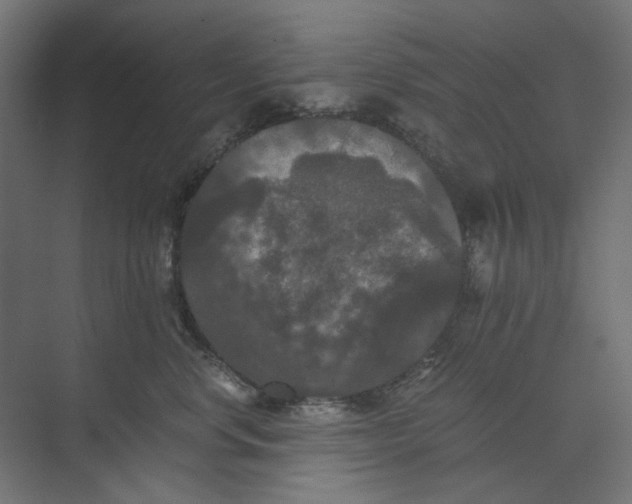 X0000073410668200608181056