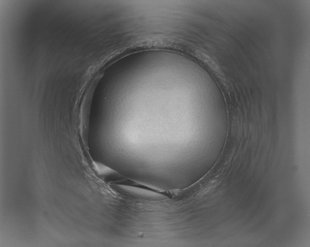 X0000073410673200608181056