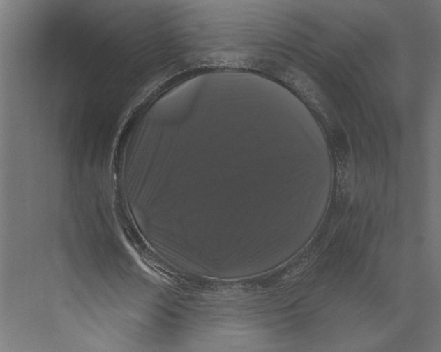 X0000073410674200608181056