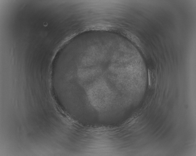 X0000073410675200608181056