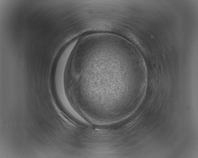 X0000073410677200608181056