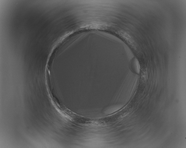 X0000073410678200608181056