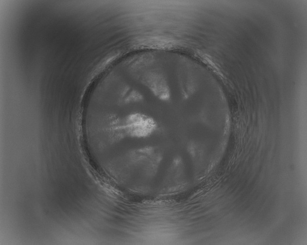 X0000073410679200608181056